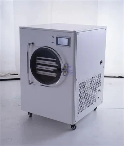 Home Mini Freeze Dryer te koop